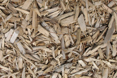 biomass boilers Sandsound