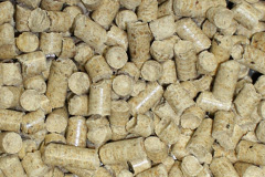 Sandsound biomass boiler costs