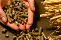 free Sandsound biomass boiler quotes